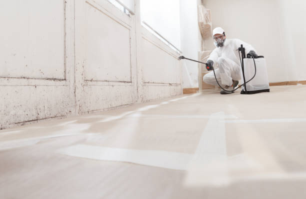 24/7 Emergency Commercial Mold Remediation experts in Clinton, TN