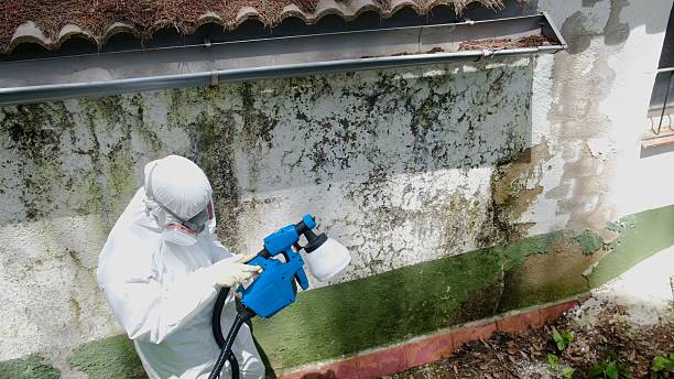 Top rated local Commercial Mold Remediation specialists in Clinton, TN